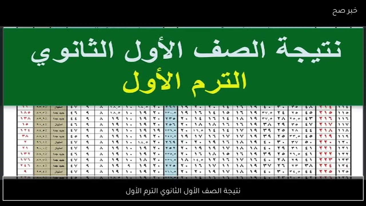رابط نتيجة الصف الأول الثانوي الترم الأول 2026 برقم الجلوس والاسم عبر eduserv.cairo.gov.eg