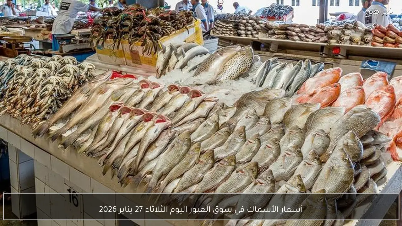أسعار الأسماك في سوق العبور اليوم الثلاثاء 27 يناير 2026