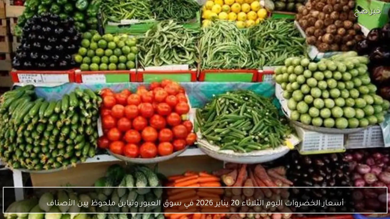 أسعار الخضروات اليوم الثلاثاء 20 يناير 2026 في سوق العبور وتباين ملحوظ بين الأصناف