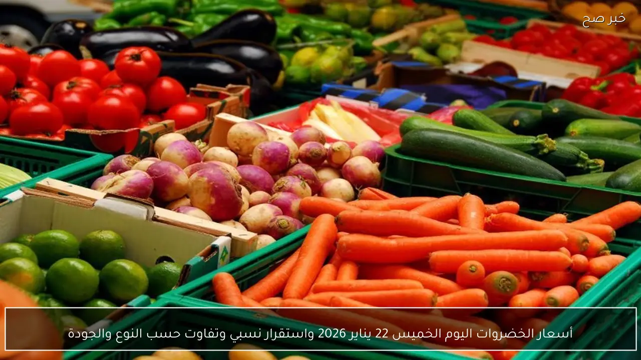 أسعار الخضروات اليوم الخميس 22 يناير 2026 واستقرار نسبي وتفاوت حسب النوع والجودة