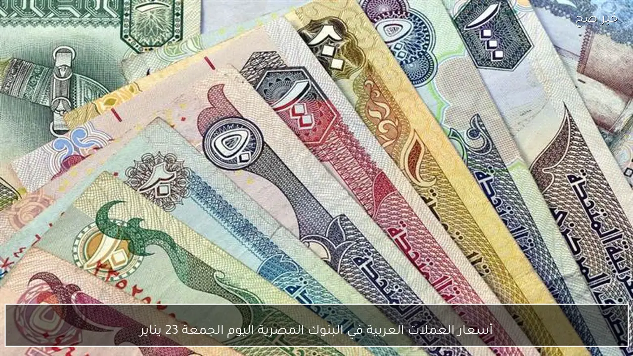 أسعار العملات العربية في البنوك المصرية اليوم الجمعة 23 يناير