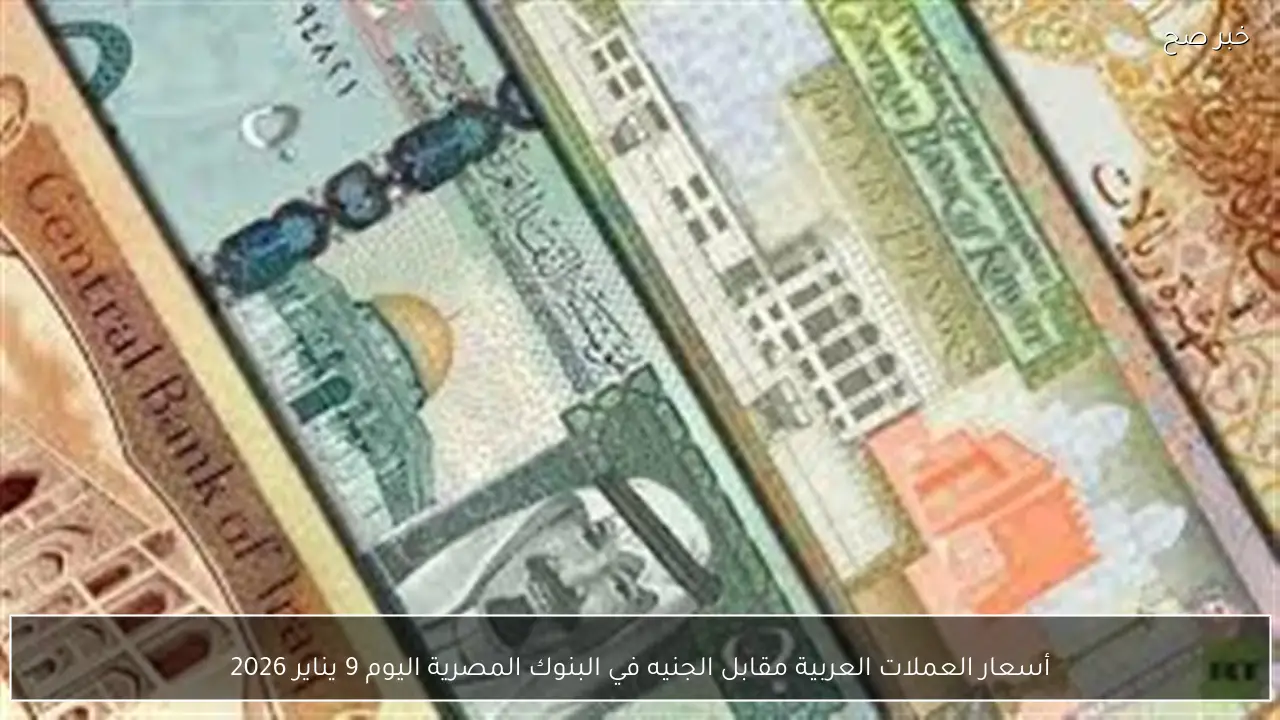 أسعار العملات العربية مقابل الجنيه في البنوك المصرية اليوم 9 يناير 2026