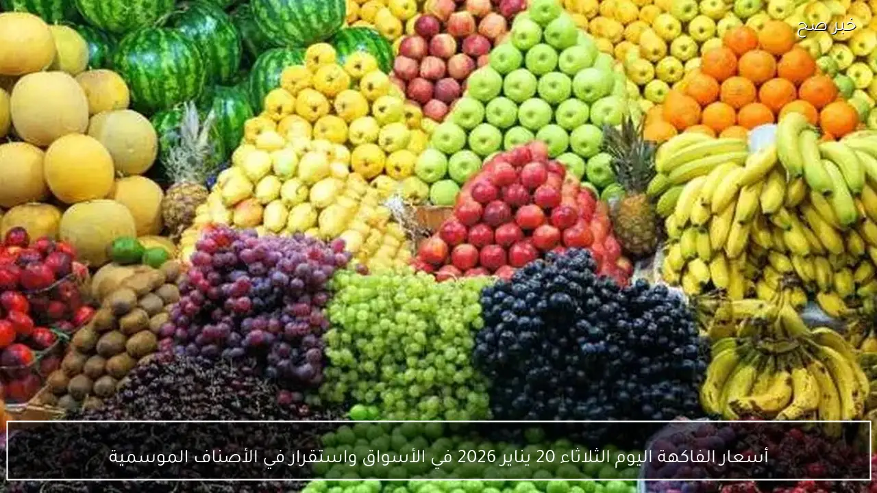 أسعار الفاكهة اليوم الثلاثاء 20 يناير 2026 في الأسواق واستقرار في الأصناف الموسمية