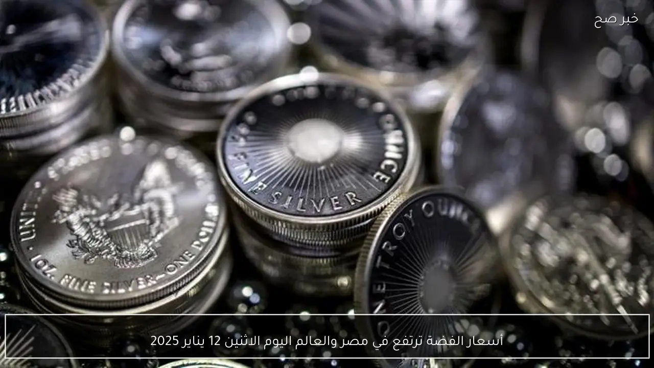 أسعار الفضة ترتفع في مصر والعالم اليوم الاثنين 12 يناير 2025