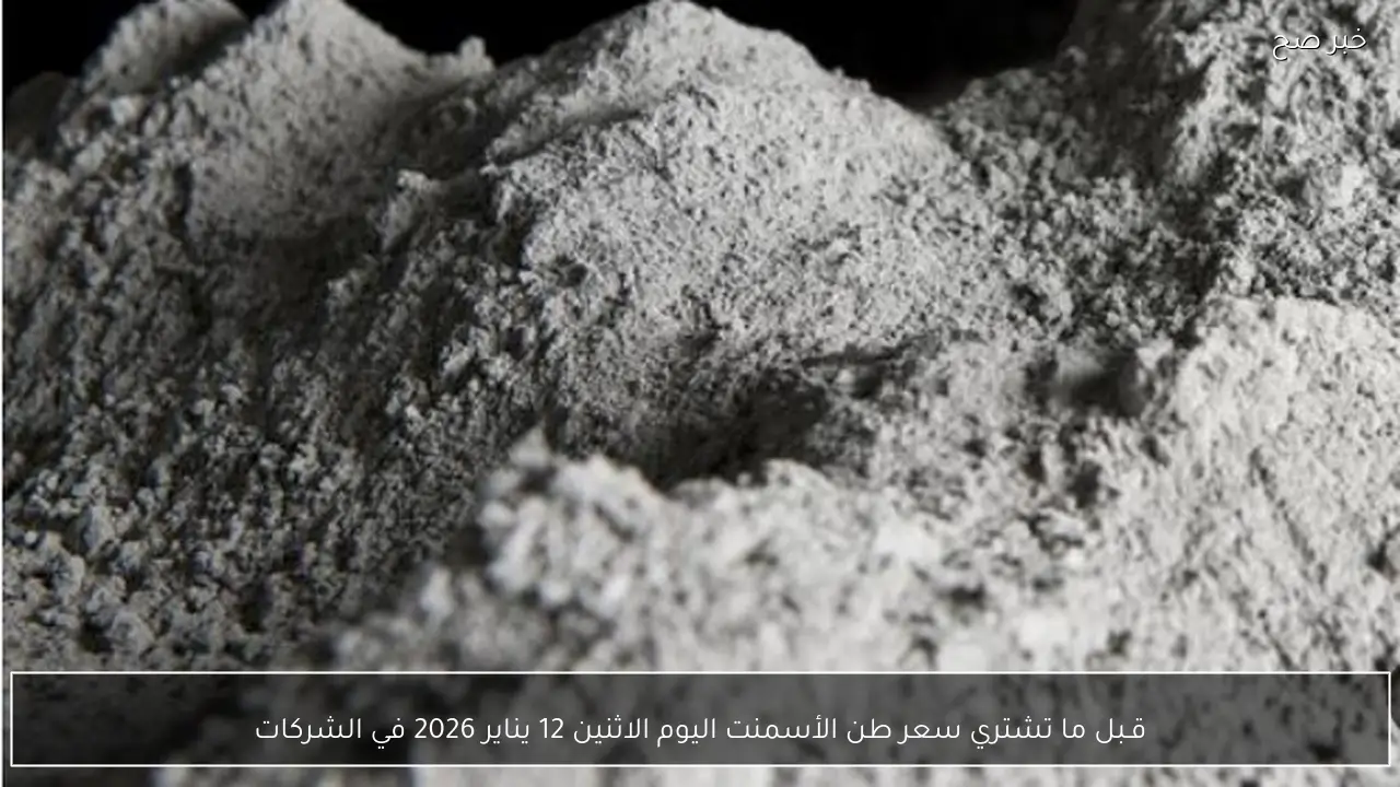 قـبل ما تشتري سعر طن الأسمنت اليوم الاثنين 12 يناير 2026 في الشركات