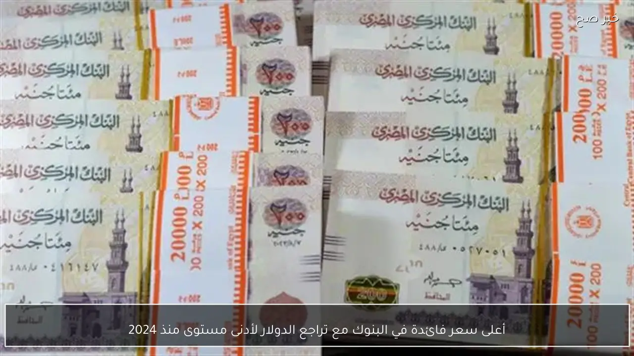 أعلى سعر فائدة في البنوك مع تراجع الدولار لأدنى مستوى منذ 2024