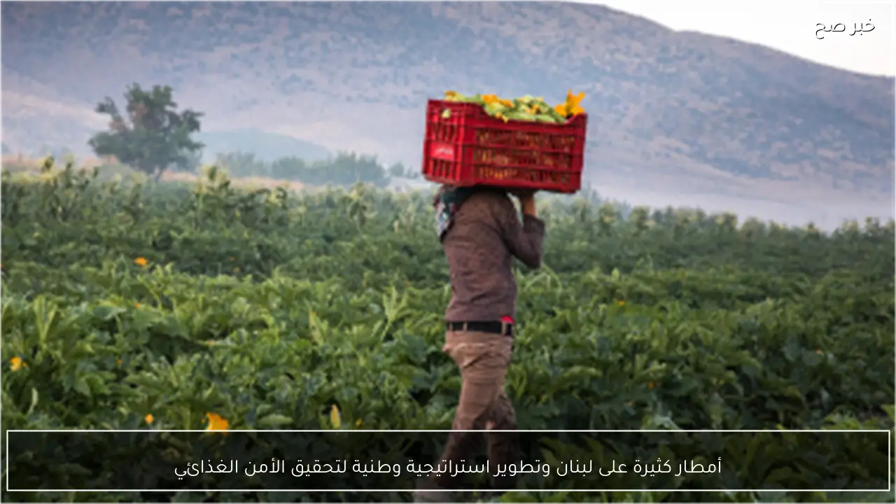 أمطار كثيرة على لبنان وتطوير استراتيجية وطنية لتحقيق الأمن الغذائي