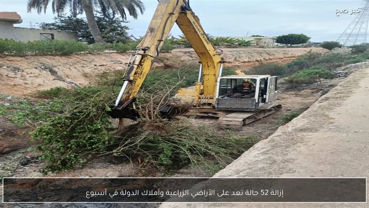 إزالة 52 حالة تعد على الأراضي الزراعية وأملاك الدولة في أسبوع