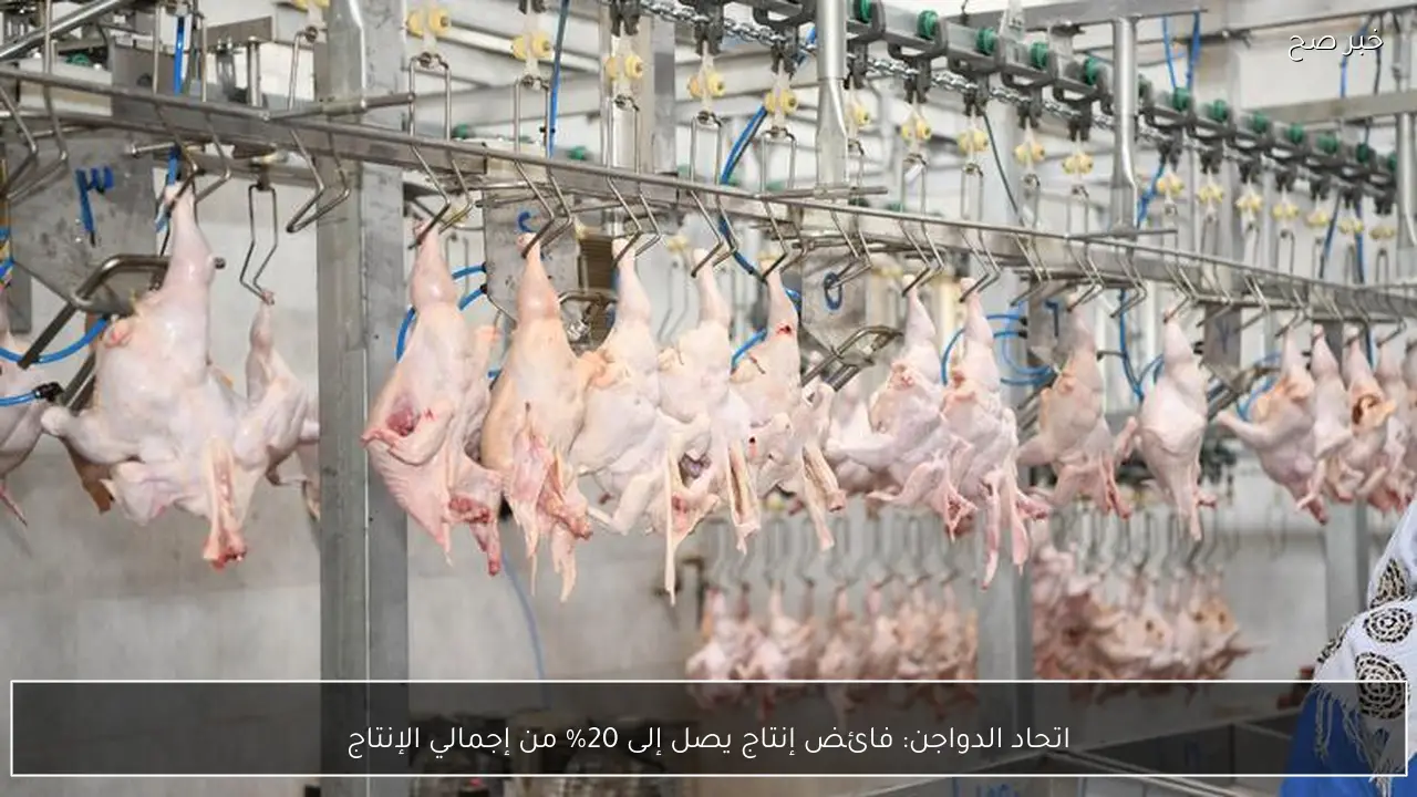 اتحاد الدواجن: فائض إنتاج يصل إلى 20% من إجمالي الإنتاج