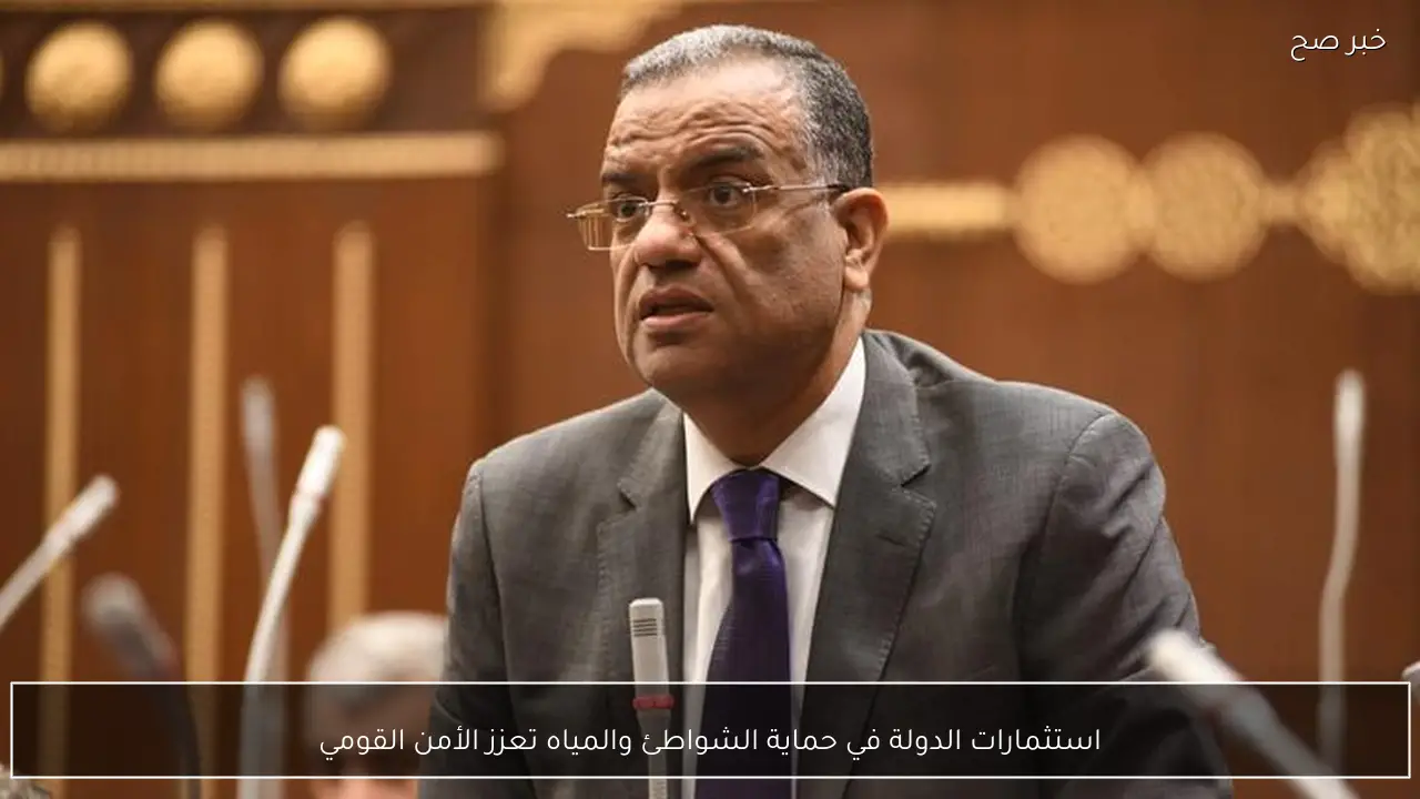 استثمارات الدولة في حماية الشواطئ والمياه تعزز الأمن القومي