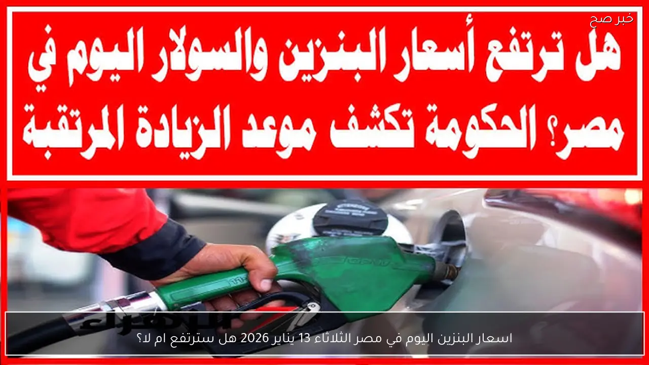اسعار البنزين اليوم في مصر الثلاثاء 13 يناير 2026 هل سترتفع ام لا؟
