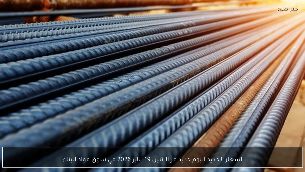 اسعار الحديد اليوم حديد عز الاثنين 19 يناير 2026 في سوق مواد البناء