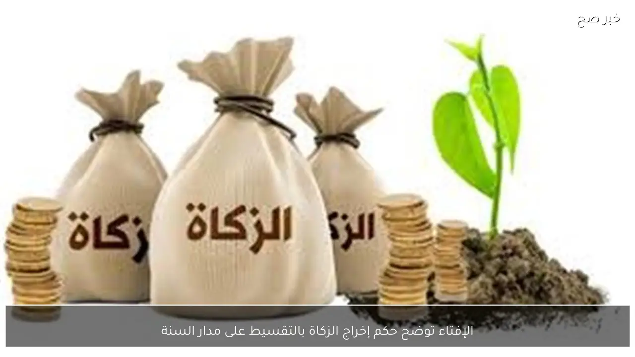 الإفتاء توضح حكم إخراج الزكاة بالتقسيط على مدار السنة