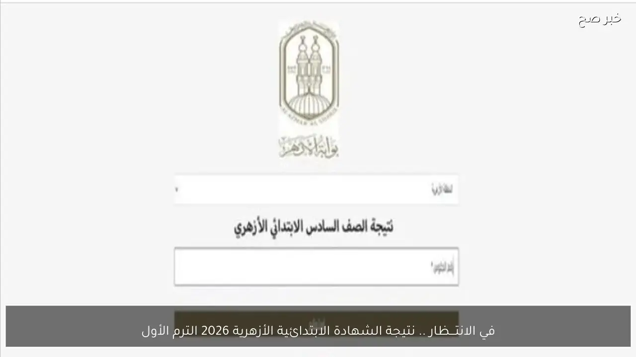 في الانتـــظار .. نتيجة الشهادة الابتدائية الأزهرية 2026 الترم الأول عبر الموقع لجميع المعاهد
