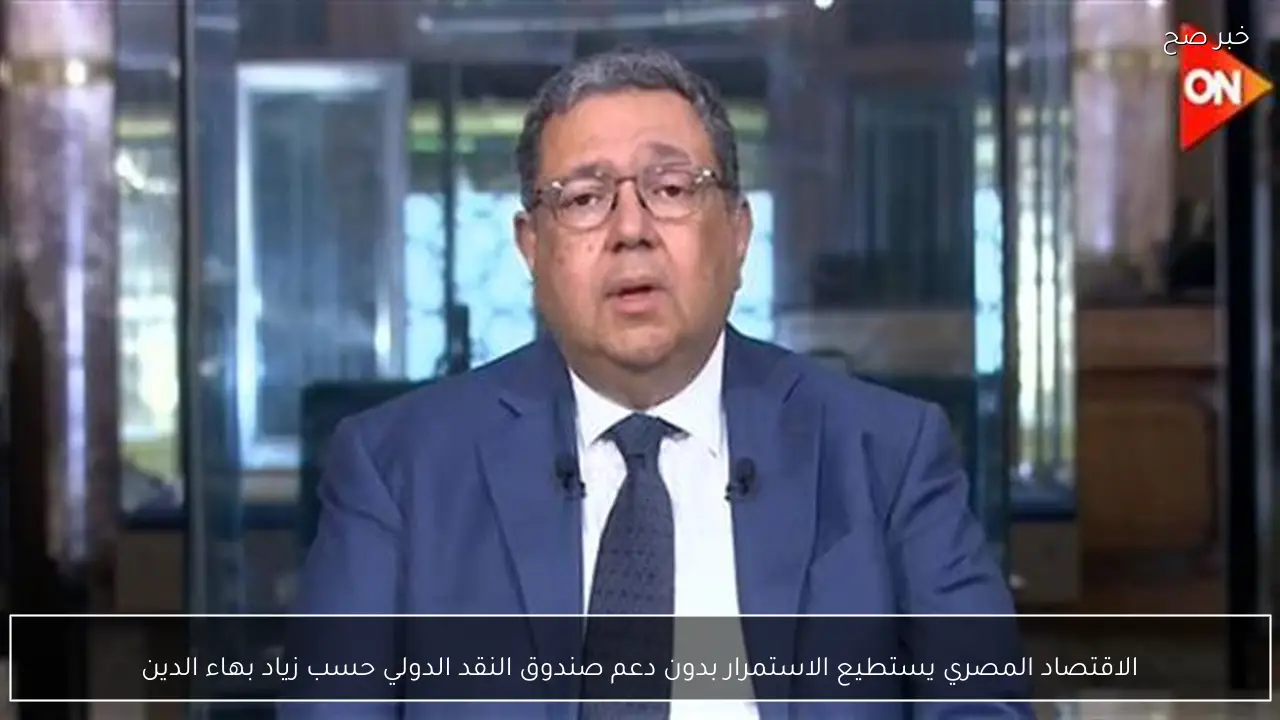 الاقتصاد المصري يستطيع الاستمرار بدون دعم صندوق النقد الدولي حسب زياد بهاء الدين