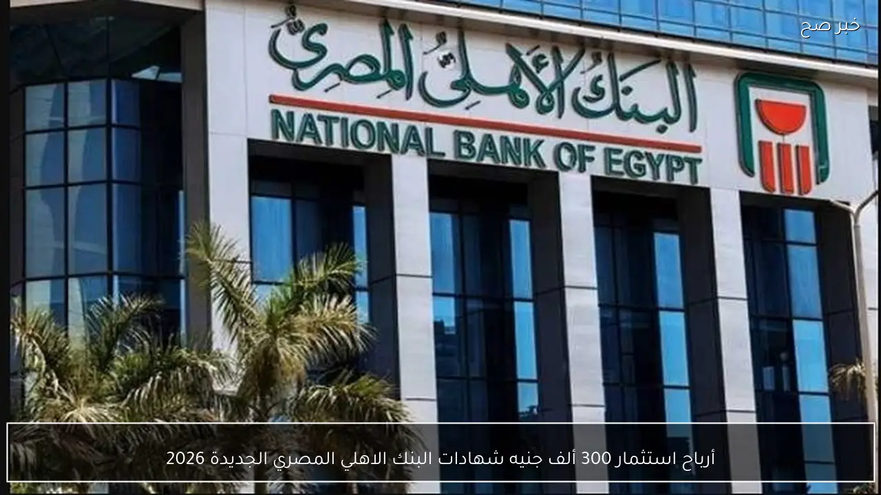 ما أرباح استثمار 300 ألف؟ شهادات البنك الاهلي المصري الجديدة 2026 في الفروع