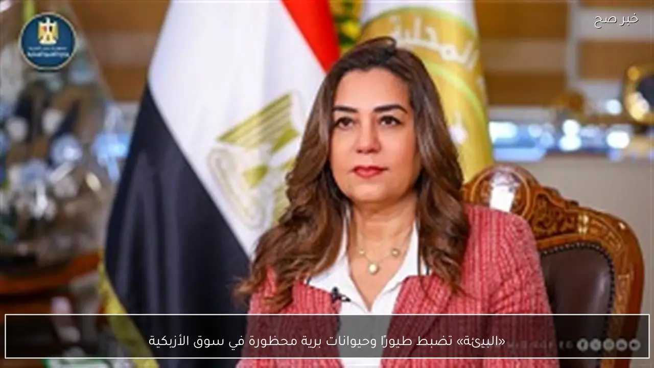 «البيئة» تضبط طيورًا وحيوانات برية محظورة في سوق الأزبكية