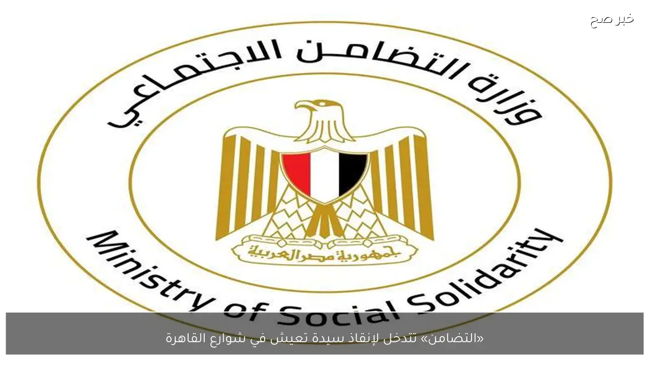 «التضامن» تتدخل لإنقاذ سيدة تعيش في شوارع القاهرة