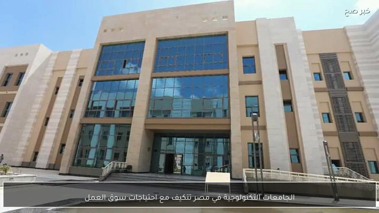 الجامعات التكنولوجية في مصر تتكيف مع احتياجات سوق العمل