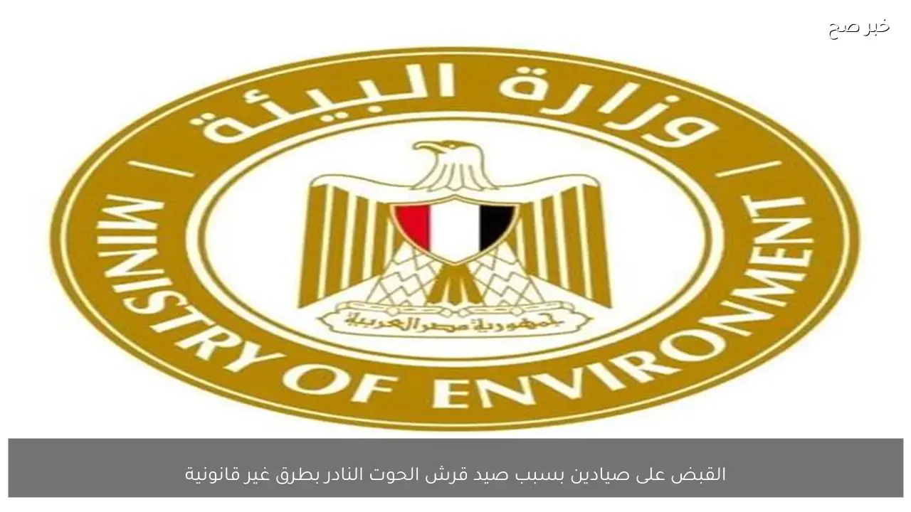 القبض على صيادين بسبب صيد قرش الحوت النادر بطرق غير قانونية