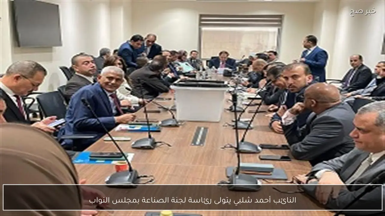 النائب أحمد شلبي يتولى رئاسة لجنة الصناعة بمجلس النواب