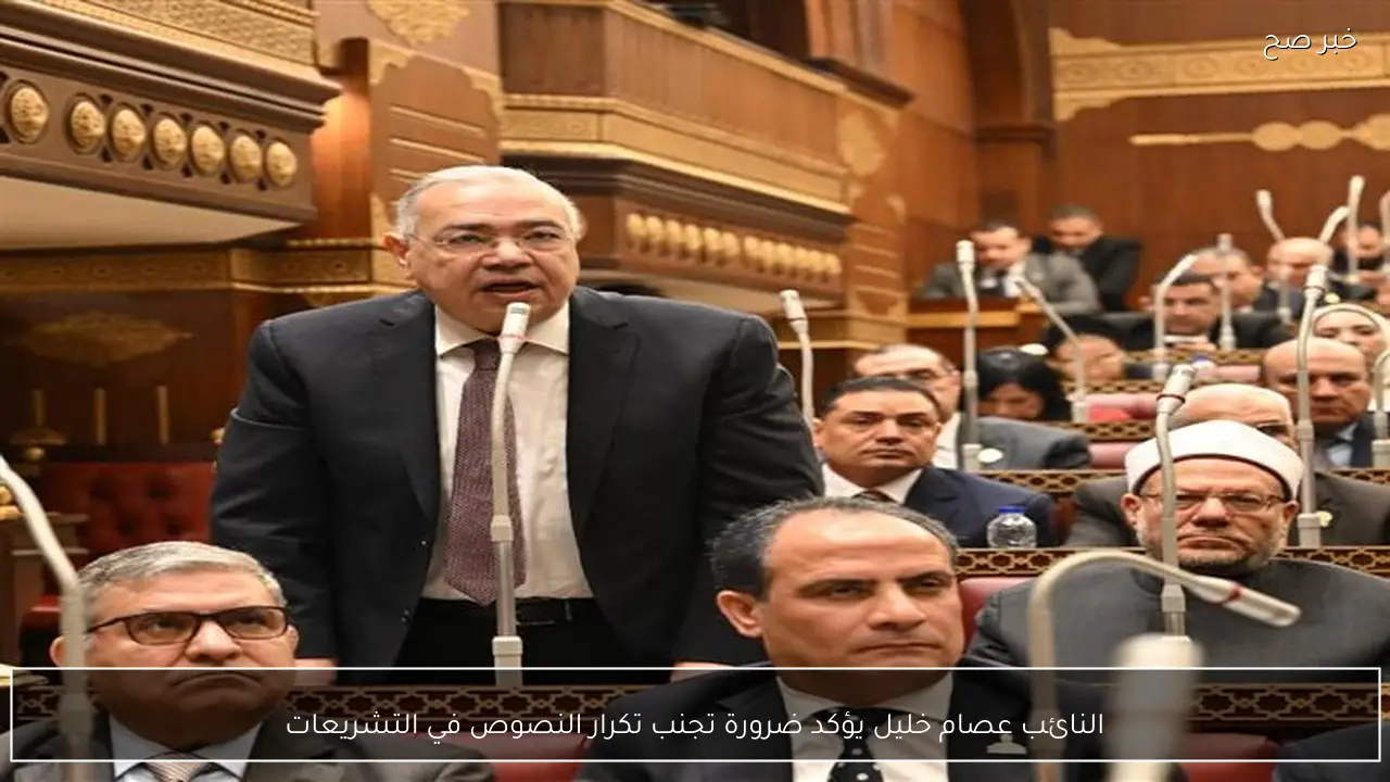 النائب عصام خليل يؤكد ضرورة تجنب تكرار النصوص في التشريعات