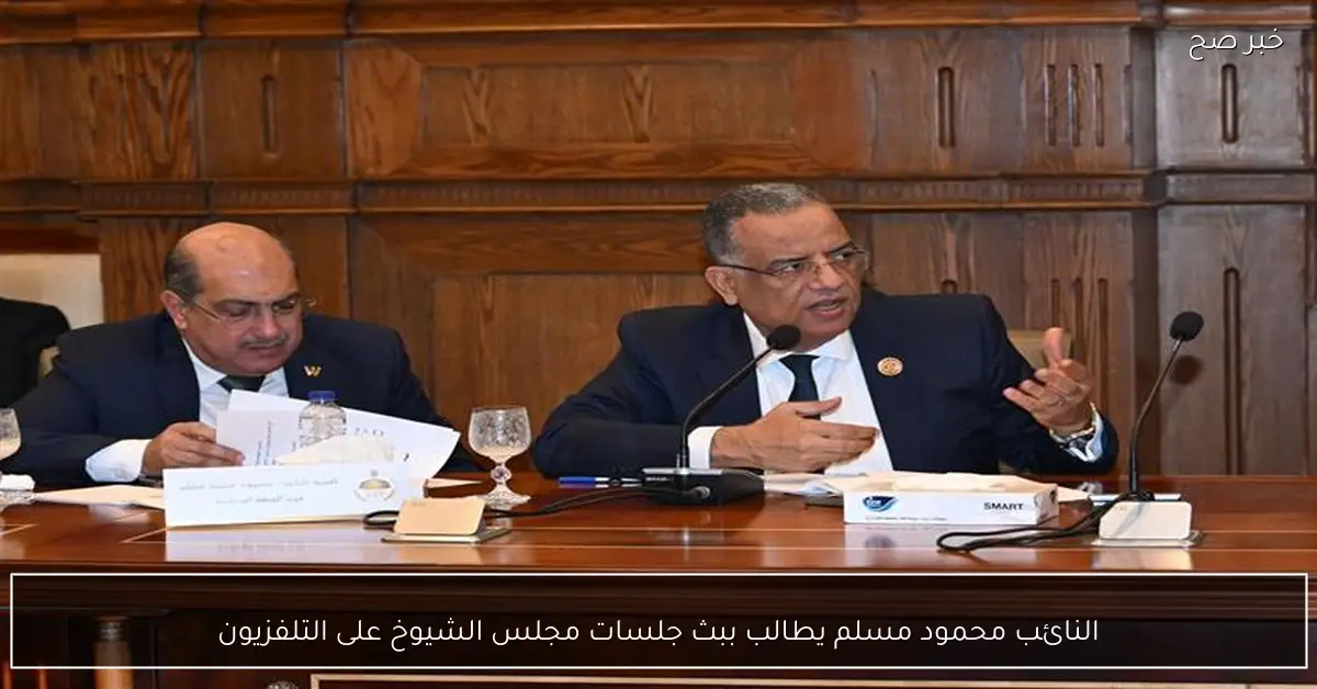 النائب محمود مسلم يطالب ببث جلسات مجلس الشيوخ على التلفزيون