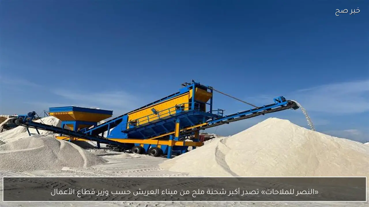 «النصر للملاحات» تصدر أكبر شحنة ملح من ميناء العريش حسب وزير قطاع الأعمال