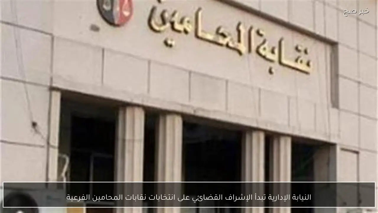 النيابة الإدارية تبدأ الإشراف القضائي على انتخابات نقابات المحامين الفرعية