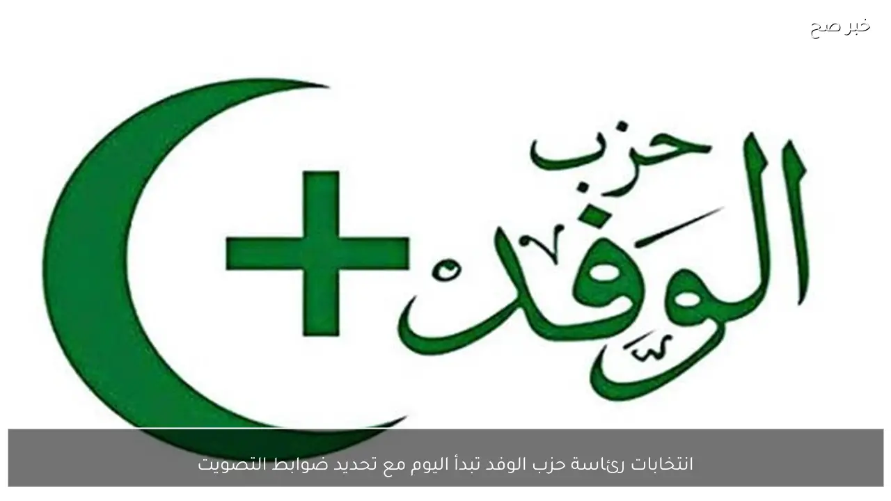 انتخابات رئاسة حزب الوفد تبدأ اليوم مع تحديد ضوابط التصويت