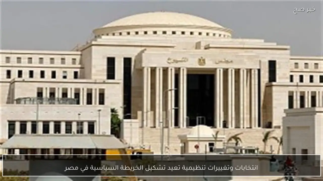 انتخابات وتغييرات تنظيمية تعيد تشكيل الخريطة السياسية في مصر