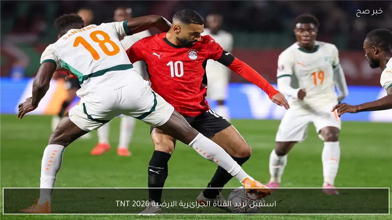 استقبل تردد القناة الجزائرية الارضية 2026 لمتابعة ماتش مصر والسنغال في كأس امم افريقيا بأقوى اشارة