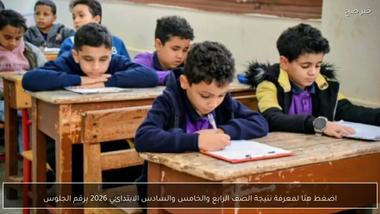 اضغط هنا لمعرفة نتيجة الصف الرابع والخامس والسادس الابتدائي 2026 برقم الجلوس