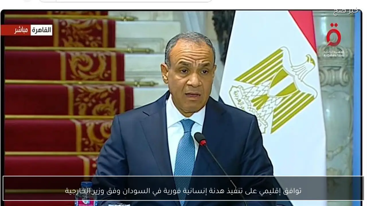 توافق إقليمي على تنفيذ هدنة إنسانية فورية في السودان وفق وزير الخارجية