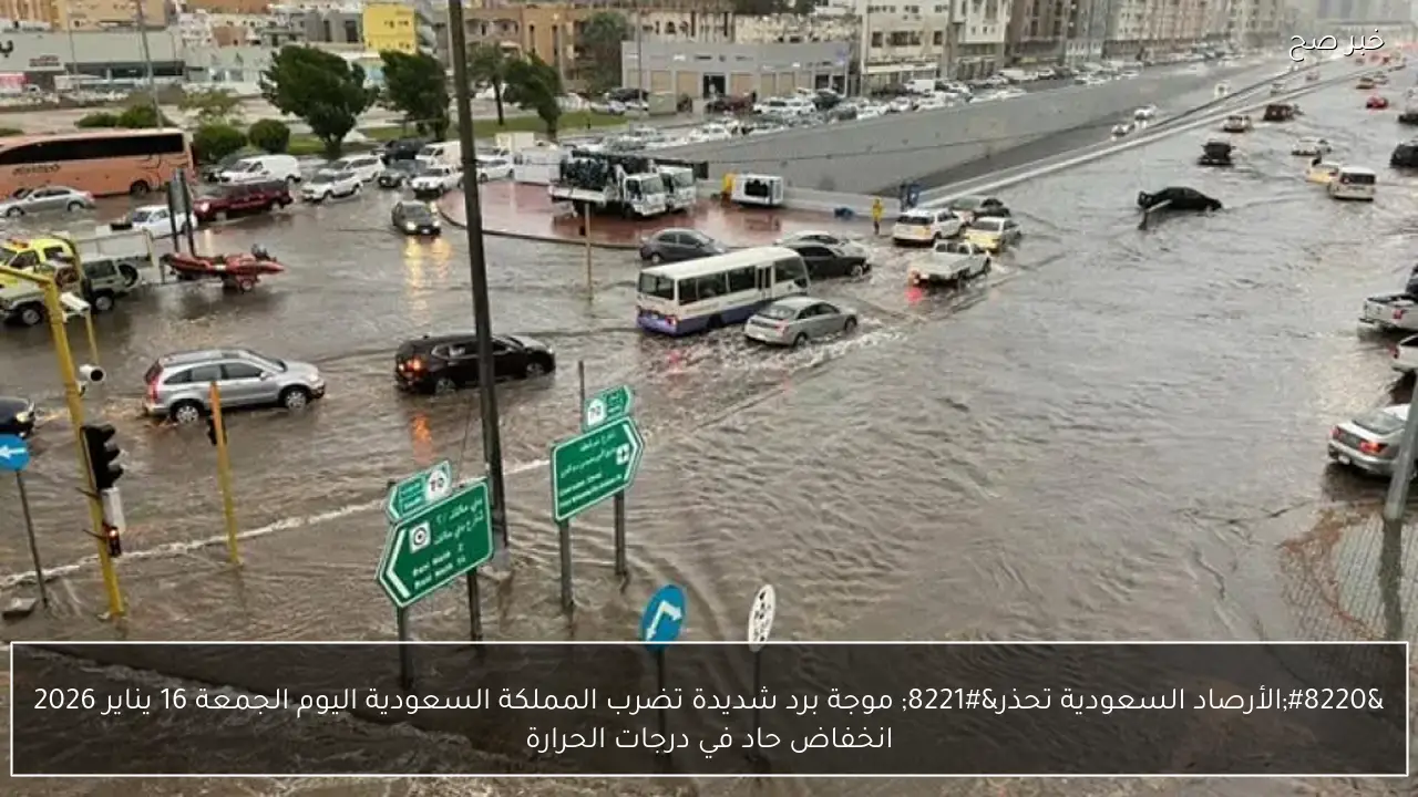 غائم نهاراً بارد ليلاً حالة الطقس غدا الاثنين 12-1-2026 في مصر