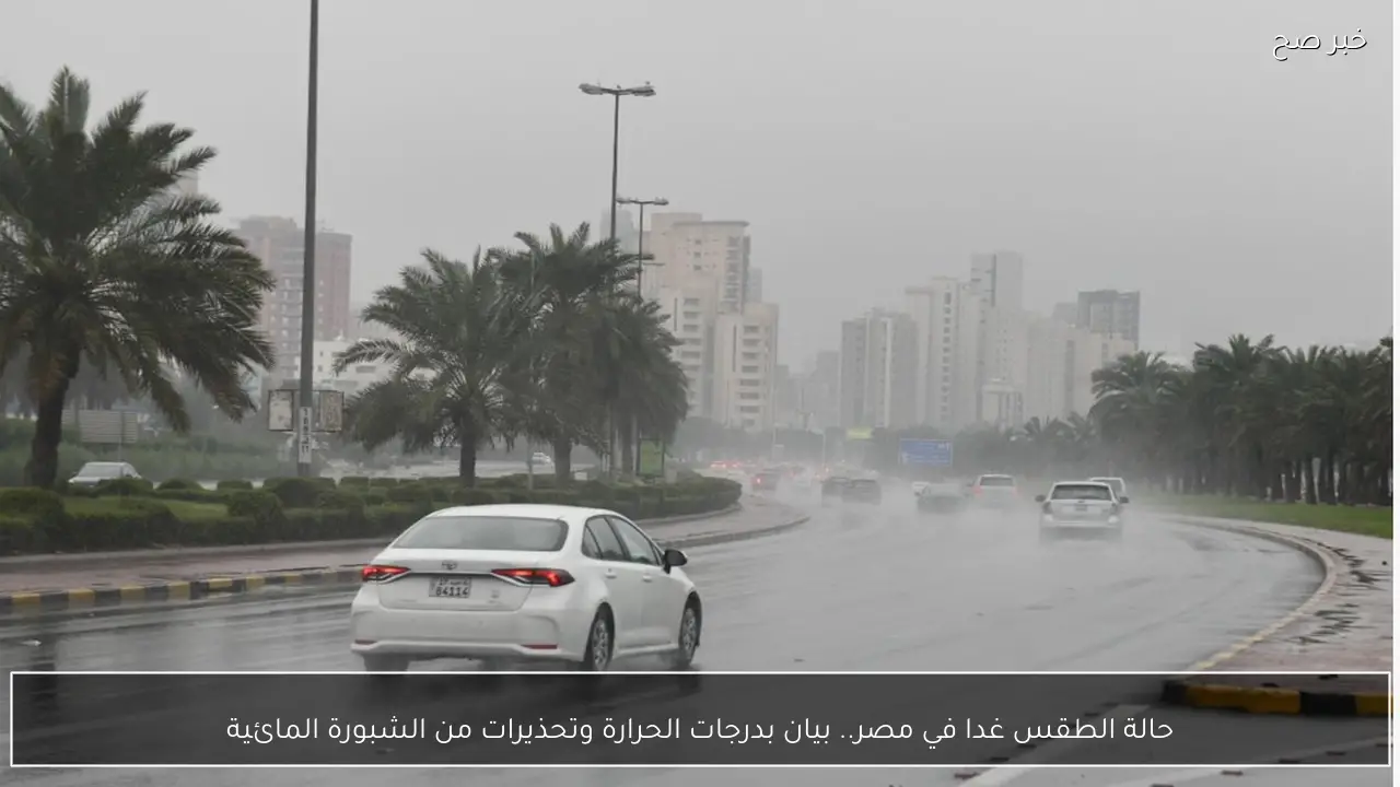 حالة الطقس غدا في مصر.. بيان بدرجات الحرارة وتحذيرات من الشبورة المائية