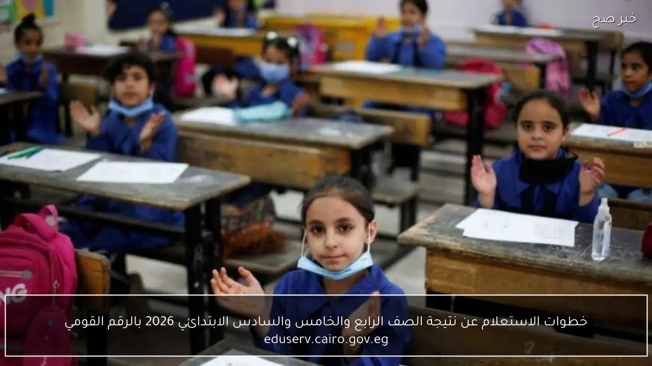 خطوات الاستعلام عن نتيجة الصف الرابع والخامس والسادس الابتدائي 2026 بالرقم القومي eduserv.cairo.gov.eg