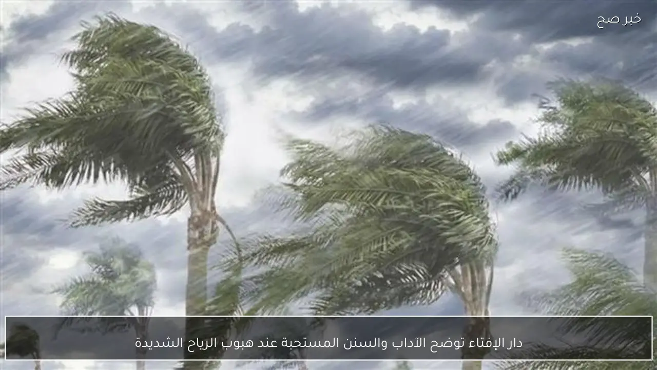 دار الإفتاء توضح الآداب والسنن المستحبة عند هبوب الرياح الشديدة