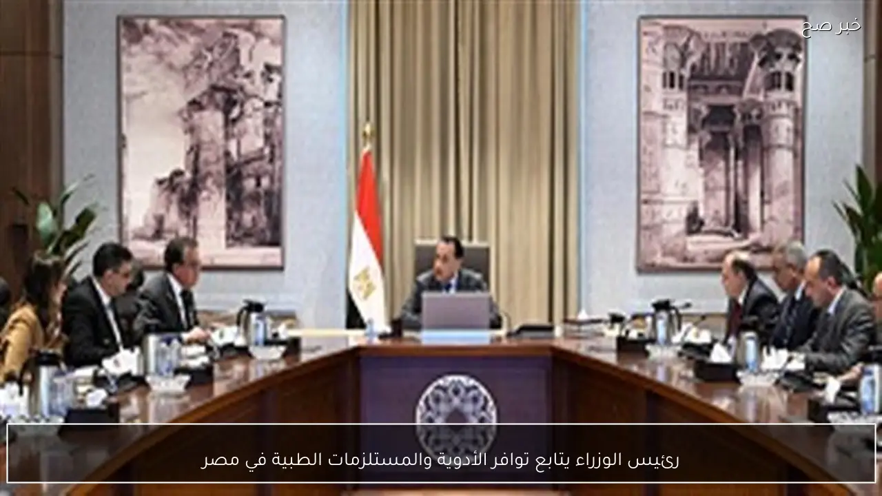رئيس الوزراء يتابع توافر الأدوية والمستلزمات الطبية في مصر
