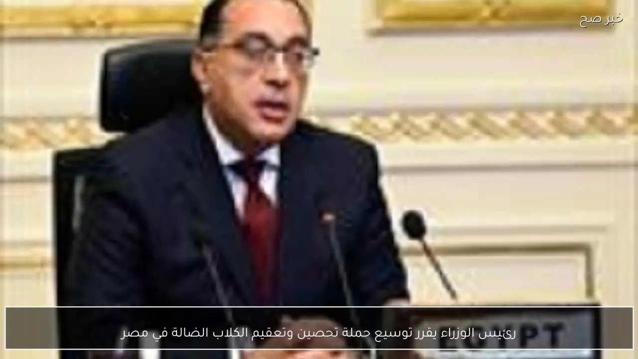 رئيس الوزراء يقرر توسيع حملة تحصين وتعقيم الكلاب الضالة في مصر