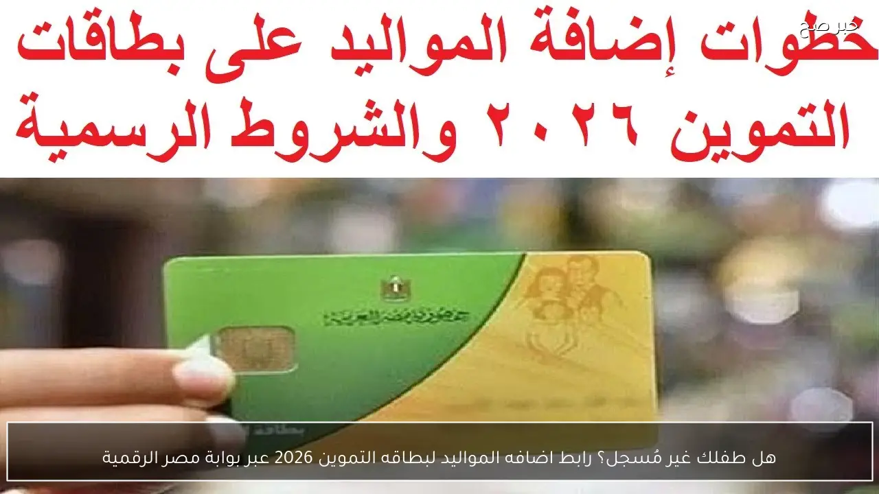 هل طفلك غير مُسجل؟ رابط اضافه المواليد لبطاقه التموين 2026 عبر بوابة مصر الرقمية