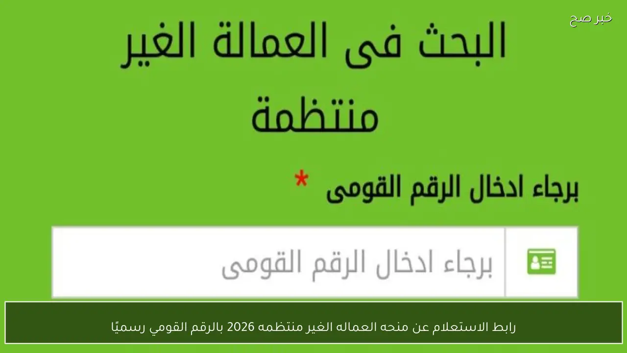 رابط الاستعلام عن منحه العماله الغير منتظمه 2026 بالرقم القومي رسميًا وشروط الاستحقاق