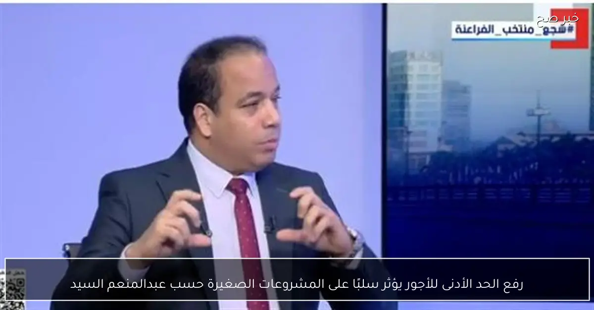 رفع الحد الأدنى للأجور يؤثر سلبًا على المشروعات الصغيرة حسب عبدالمنعم السيد