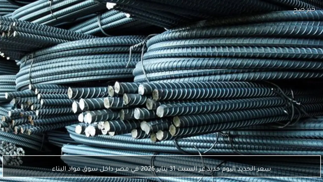 سعر الحديد اليوم حديد عز السبت 31 يناير 2026 في مصر داخل سوق مواد البناء