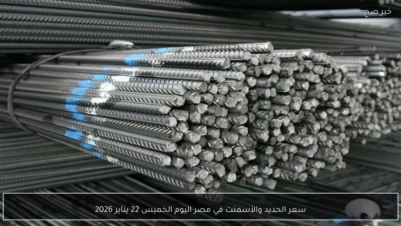 سعر الحديد والأسمنت في مصر اليوم الخميس 22 يناير 2026