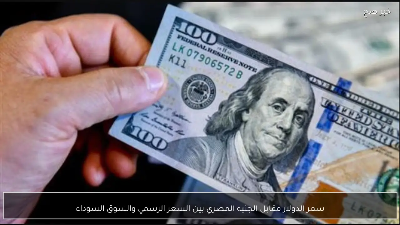 سعر الدولار مقابل الجنيه المصري بالبنك المركزي والسوق السوداء