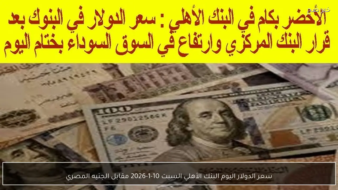 سعر الدولار اليوم البنك الأهلي السبت 10-1-2026 مقابل الجنيه المصري