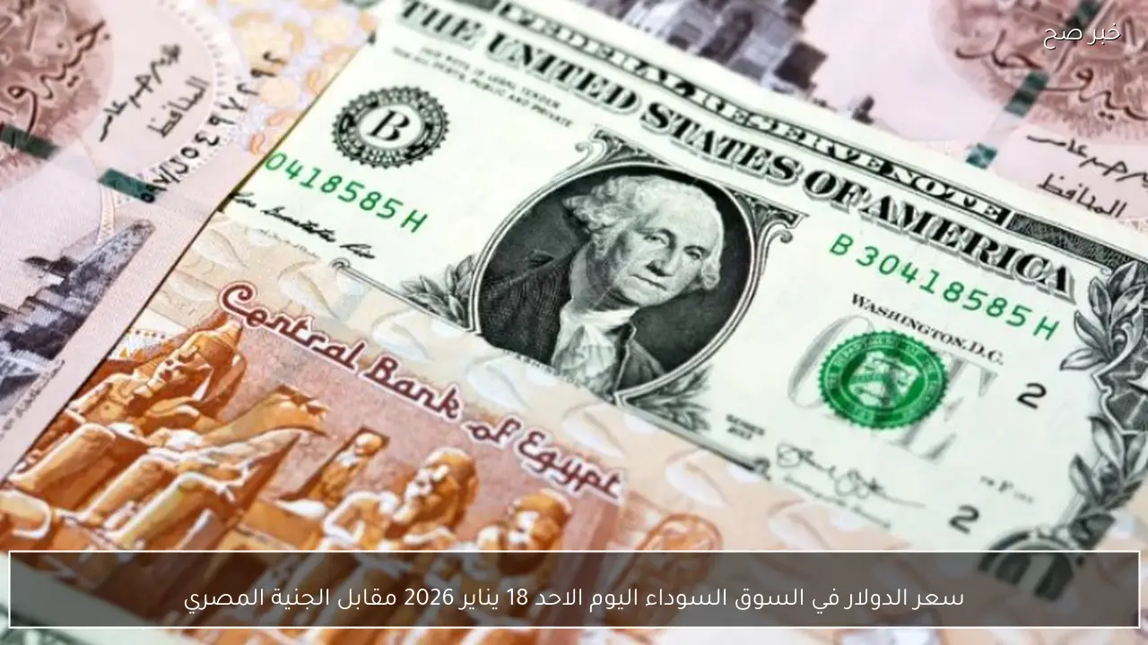 سعر الدولار في السوق السوداء اليوم الاحد 18 يناير 2026 مقابل الجنية المصري