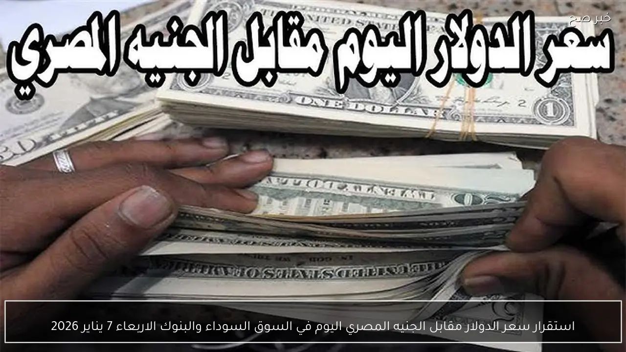 استقرار سعر الدولار مقابل الجنيه المصري اليوم في السوق السوداء والبنوك الاربعاء 7 يناير 2026