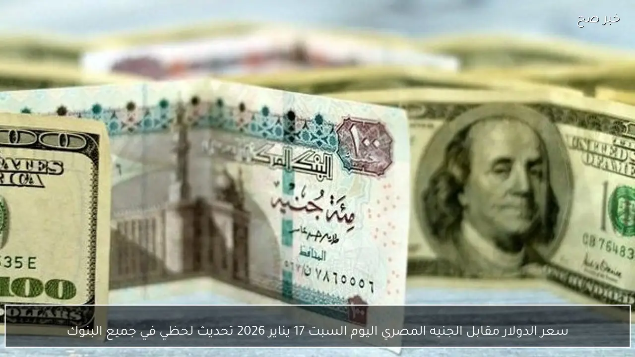 سعر الدولار مقابل الجنيه المصري اليوم السبت 17 يناير 2026 تحديث لحظي في جميع البنوك